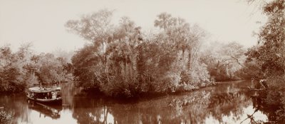 On the Tomoka near Ormond, Florida by William Henry Jackson